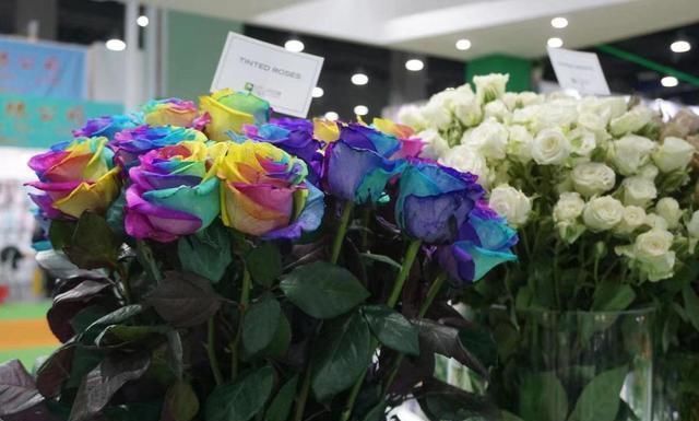 月季|花市遇到这4种花,再好看也不能买,都是假的根本养不活
