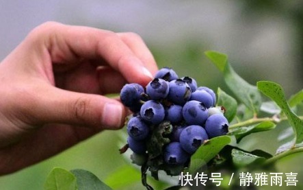 女人|女人到了更年期,再穷也要吃3物,皮肤变嫩,更年期后依旧优雅