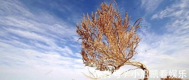 水资源|塔克拉玛干沙漠藏有“地下海洋”，为何不去开采？有啥难言之隐？