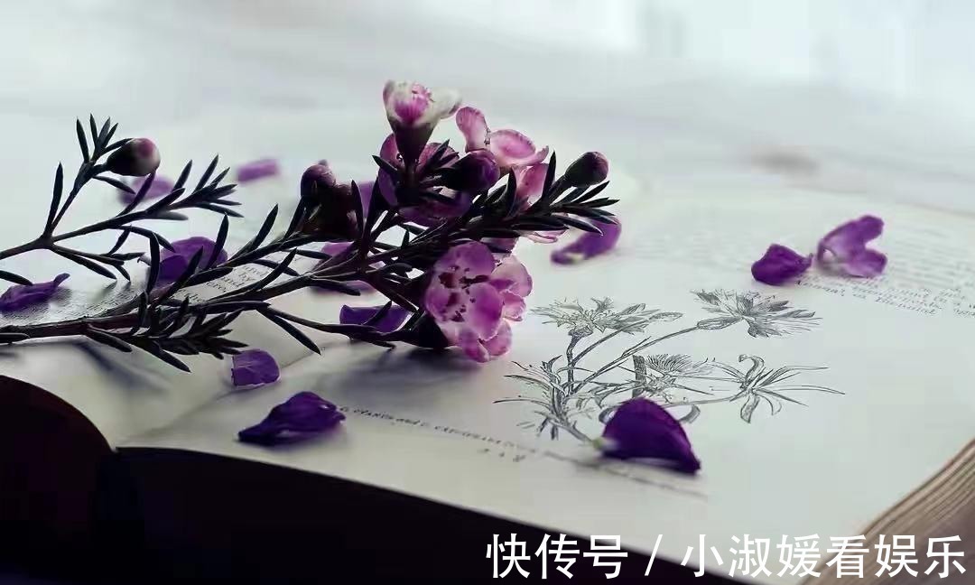 偏心|亲兄弟之间为什么会像“仇人”一样?多半因为这些原因