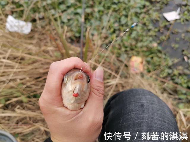 浮漂|细钩条和粗钩条，鱼钩的区别究竟能给钓鱼带来多大的影响