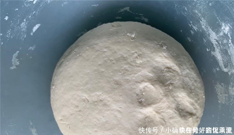  三伏天，这菜正当季，钙是南瓜4倍，用来包饺子比韭菜馅的还好吃