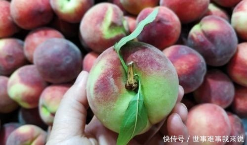窍门|买桃子就要买“公”的，学会这些窍门，保证一挑一个准，个个香甜
