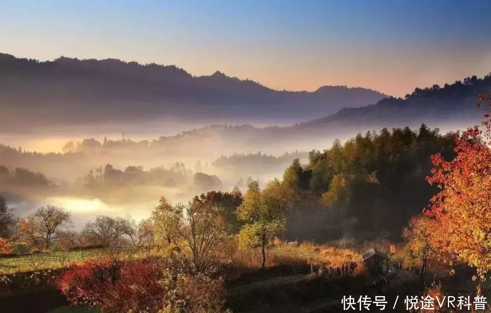 研究化石,趣味定向,植物压花!番禺公园科普活动继续神奇旅程!