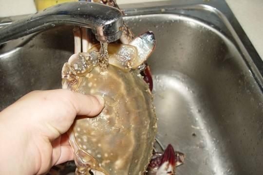 傻傻|蒸螃蟹时,别傻傻直接下锅蒸,多加这2味,肉质鲜嫩味更香