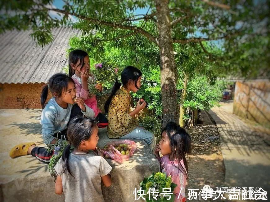 哈尼族|在越南这个民族女人外出干活男人做家务，建筑风格也保持原始面貌