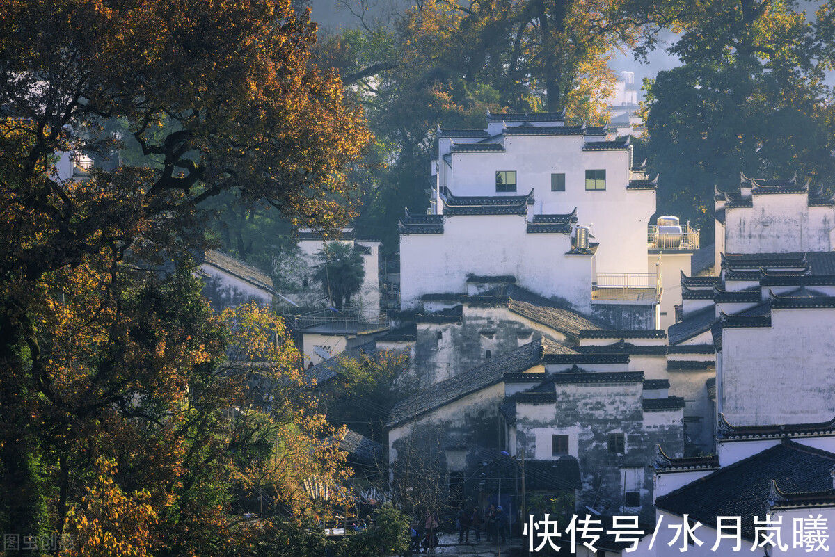 流年!次第回眸,秋雨惊心,愿岁月化为沧海,愿你我归于初见