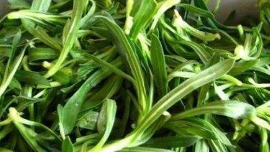 “野草”名字很好听,热水一烫成“面条”,女