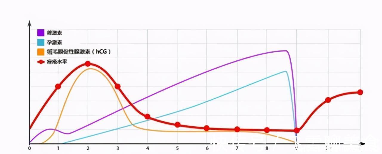 当心|怀孕后,孕妈的口味会发生变化,但偏爱这两种口味的孕妈要当心