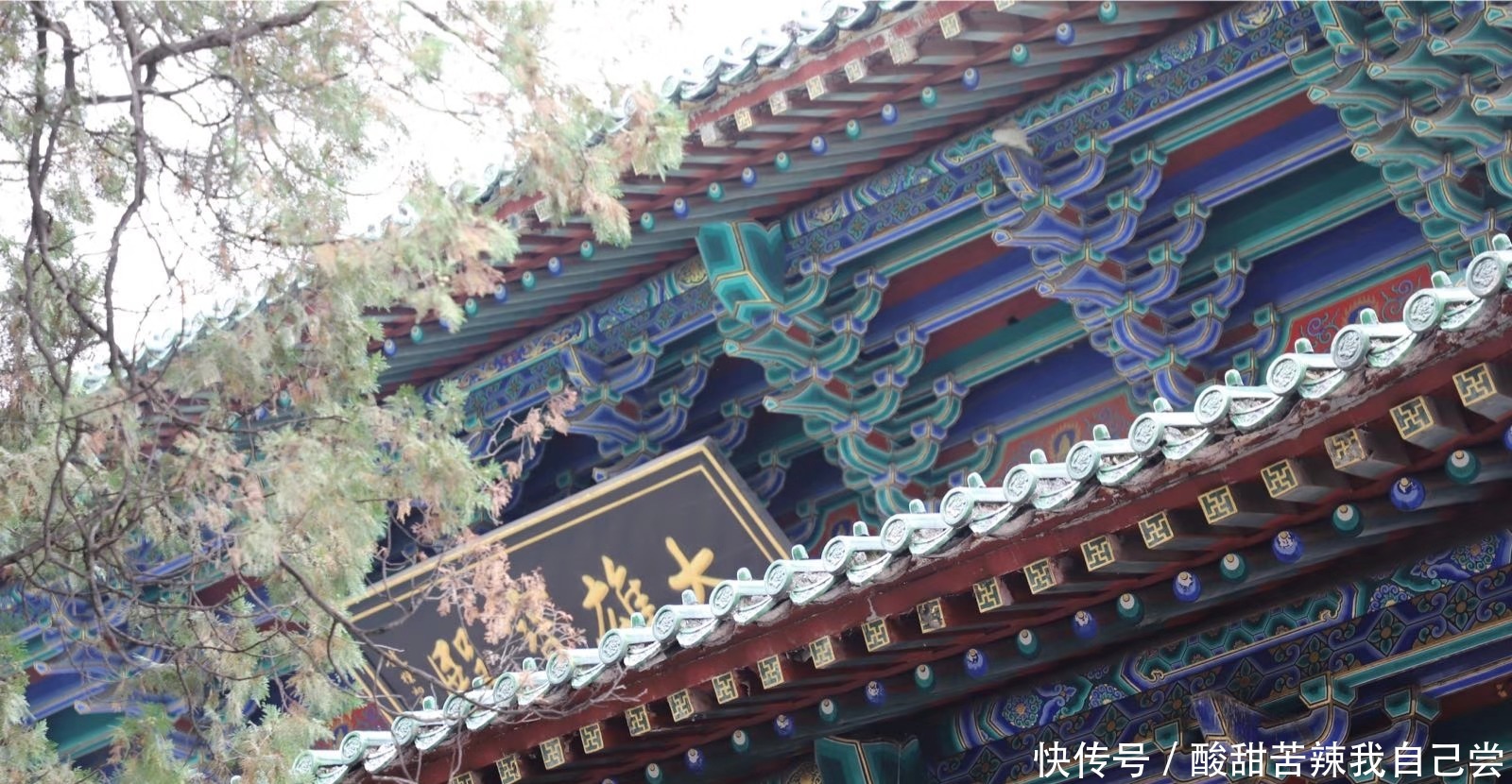  她是女帝王，深信佛法，助佛法进入宏盛时期！