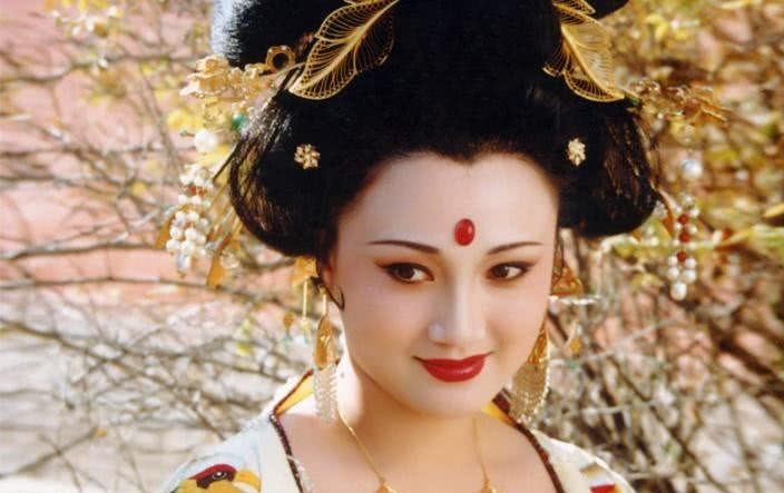 杨玉环|唐玄宗专宠杨玉环,为何只是贵妃,她和唐玄宗有感情吗?