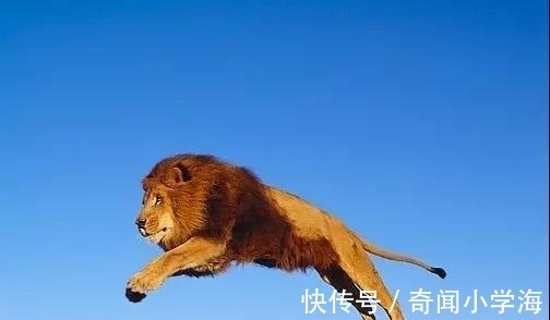 24个冷知识：生物老师看完直呼不可思议，但却真实存在的有趣知识。