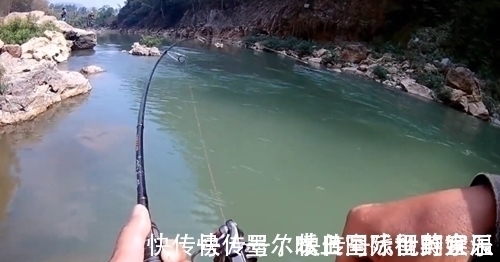大鱼|和朋友深山钓鱼,意外钓上“奇鱼”,鱼鳞大,颜色也特别,什么鱼