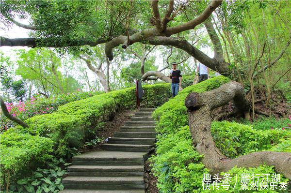 涠洲岛，中国最大，最年轻的火山岛，来这里探寻火山口里的秘密吧