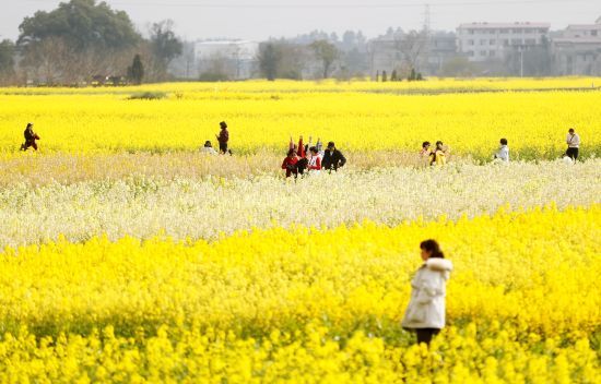 2021年安义县第十届金花文化旅游节盛大开幕