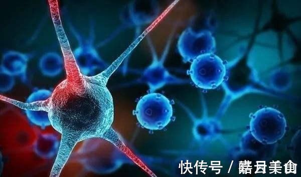 机体|硒能防癌抗癌营养师这4类食物是含硒大户,中老年人别错过