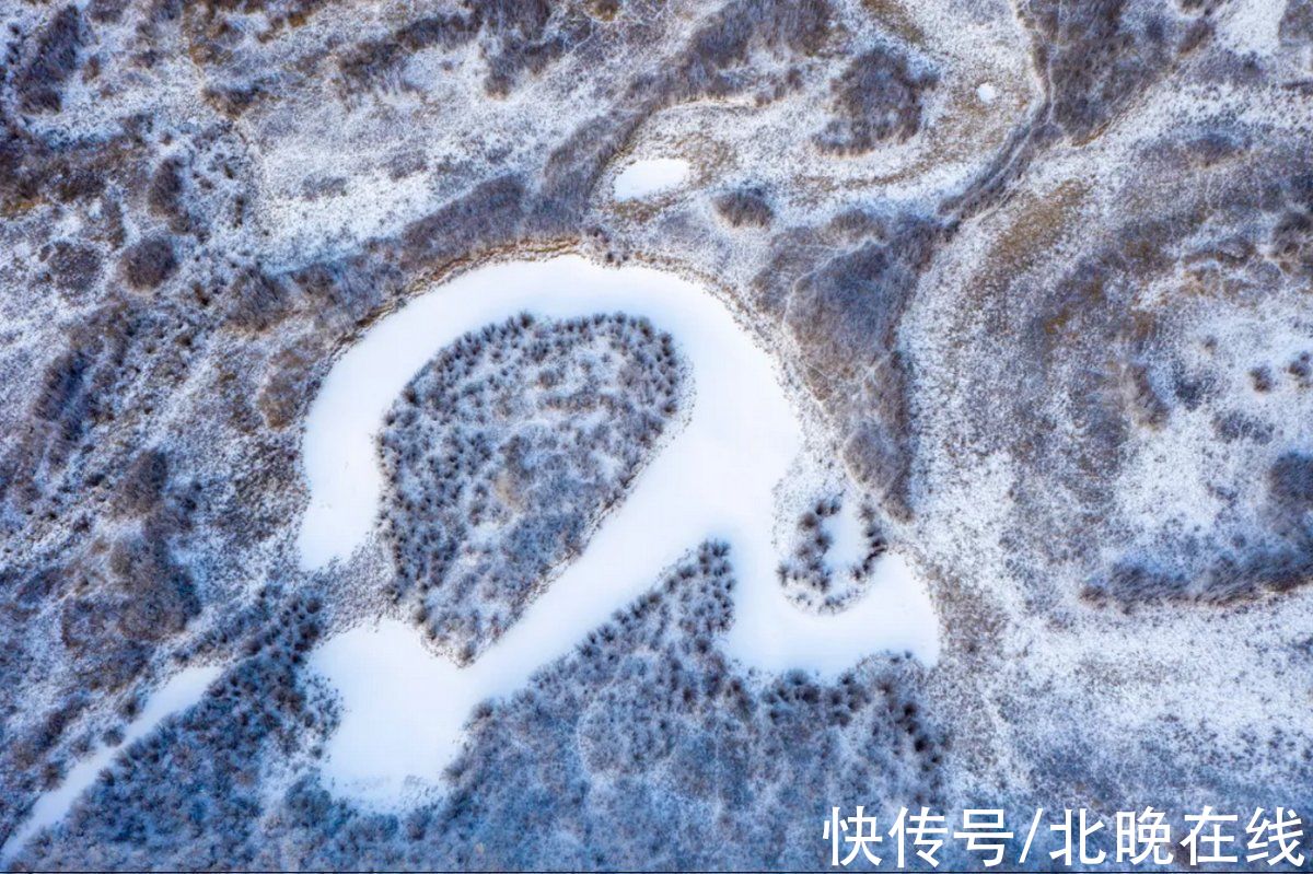 冰雪|雾凇与冰雪相伴 额尔古纳湿地现冬日活力