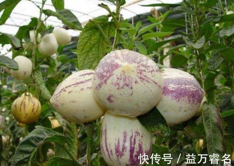 皱纹|每天晚上坚持吃3种食物，淡化皱纹、延缓衰老，好处多多！