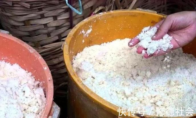 黄豆、豆渣养花有“技巧”,这样处理一下,效果比花肥强,很实用