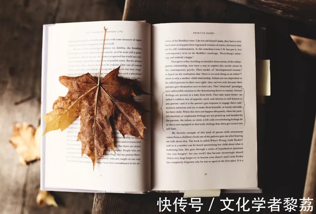 酬乐天咏老见示$想到了人生暮年