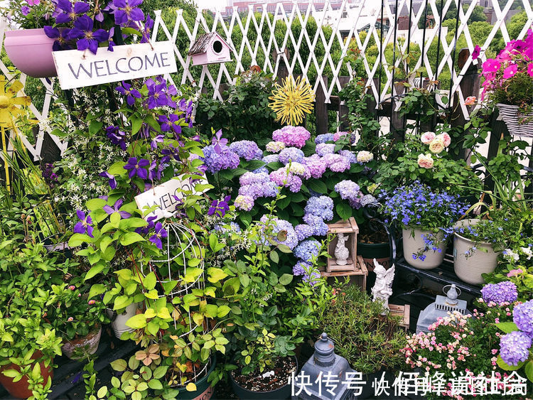 13㎡屋顶造花园,在喧嚣城市里,打造一个自己心灵深处的伊甸园