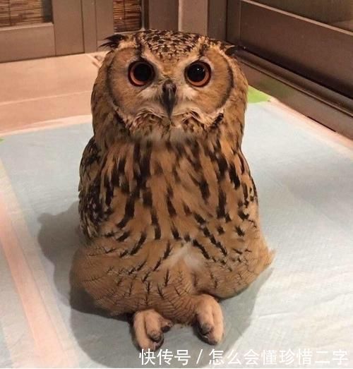 21个鲜为人知的冷知识可能让你重新认识这个世界