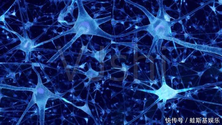 食材|吃什么食物对老年人好?这4种常见食材必须多吃,健脑益脾防痴呆