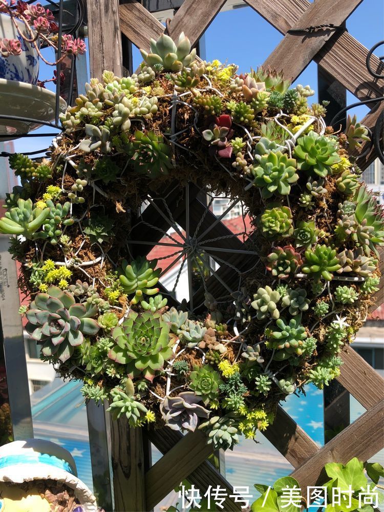 阳台|DIY改造17㎡屋顶花园,忙得不亦乐乎,在喧嚣城市打造一隅静谧