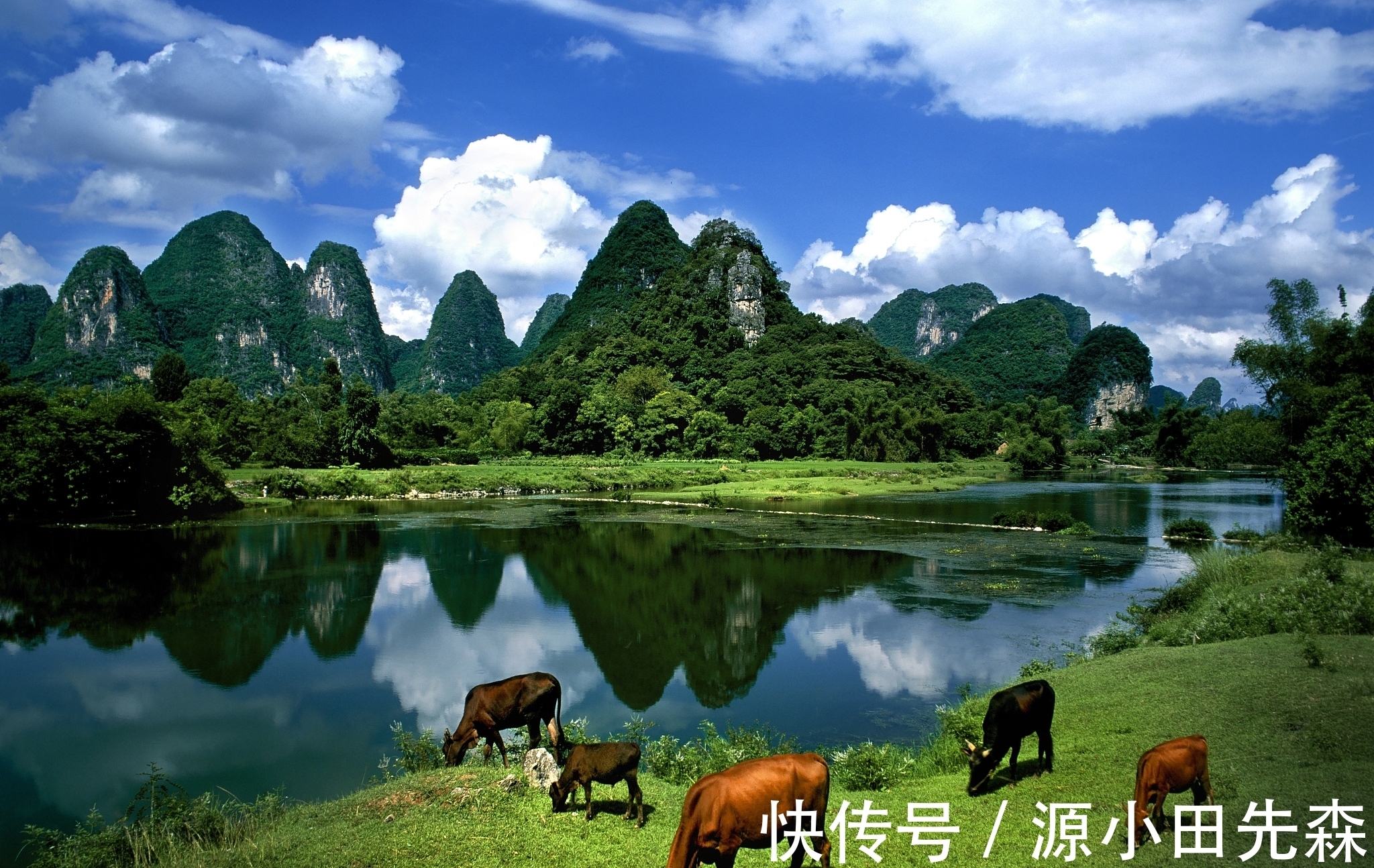 婵娟$千古名句“春风又绿江南岸,明月何时照我还”,被认为有诗病