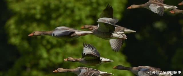 a8684|不要说生活无聊,也不要说人生平淡,一个人无事,就是最大的吉祥