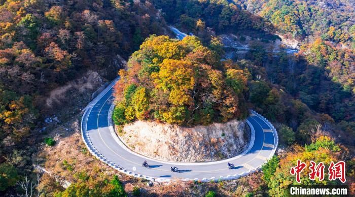 左山|大别山区安徽金寨：秋色惊艳 层林尽染