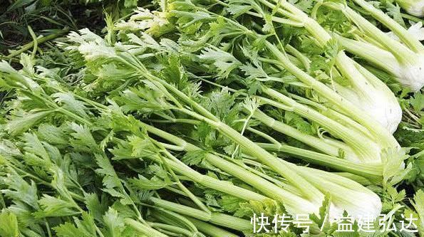 血压|高血压的“大克星”来了, 每天坚持吃一点, 血压轻松降下来