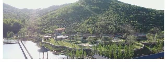 《理想的时光》零宣传开播?薇娅孟子义开民宿,浙江卫视能否大火