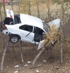 |搞笑GIF趣图:一张图告诉你,千万不能跟老爸一起去健身房