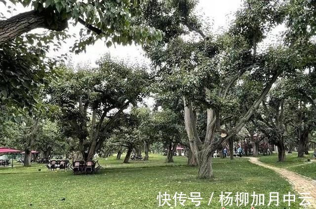 第二季|浙江卫视《奔跑吧·黄河篇》第二季节目组走进皋兰什川