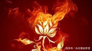 萧炎|斗破苍穹动漫如果拥有这个异火,萧炎前期就会更强大