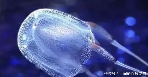 少女|吉尼斯世界之最:第三项是大多数未成年少女都喜欢的,网友:富婆