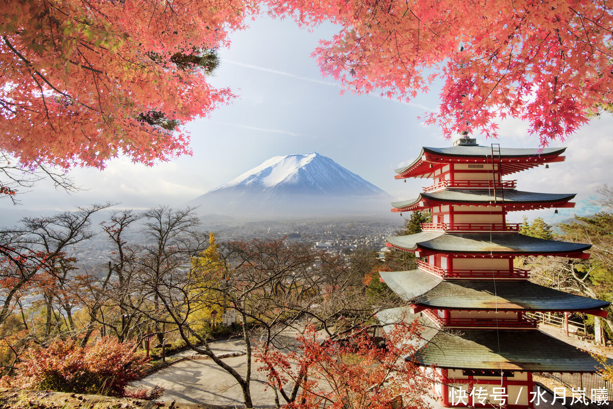 聆听|散文:聆听秋韵,听风吹过指尖流年,听季节的韵脚漫过岁月