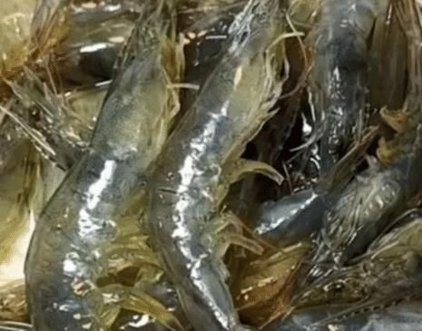 去虾线还在用牙签吗？大厨告诉我，去除虾线这样子做太简单了