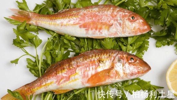 汉堡炸鸡|高血压不能吃鱼提醒真正该忌口的是这“3物”,不想血压升高,趁早丢