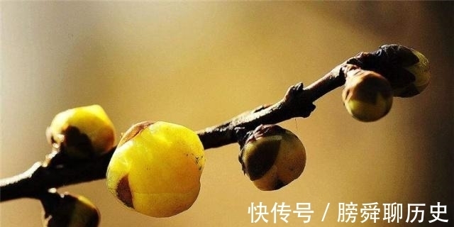 释义|人生有四悲四喜，人生“三惜”又是什么？