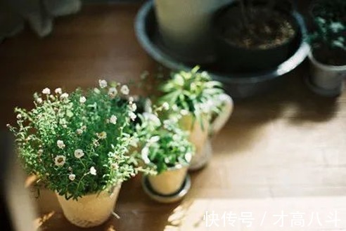 人生$放慢脚步,活好自己!