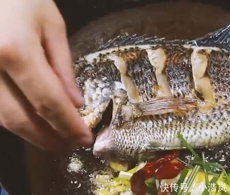 罗非鱼|唯一让中国吃货退却的鱼!营养比甲鱼高,全身是宝,只要4元一斤