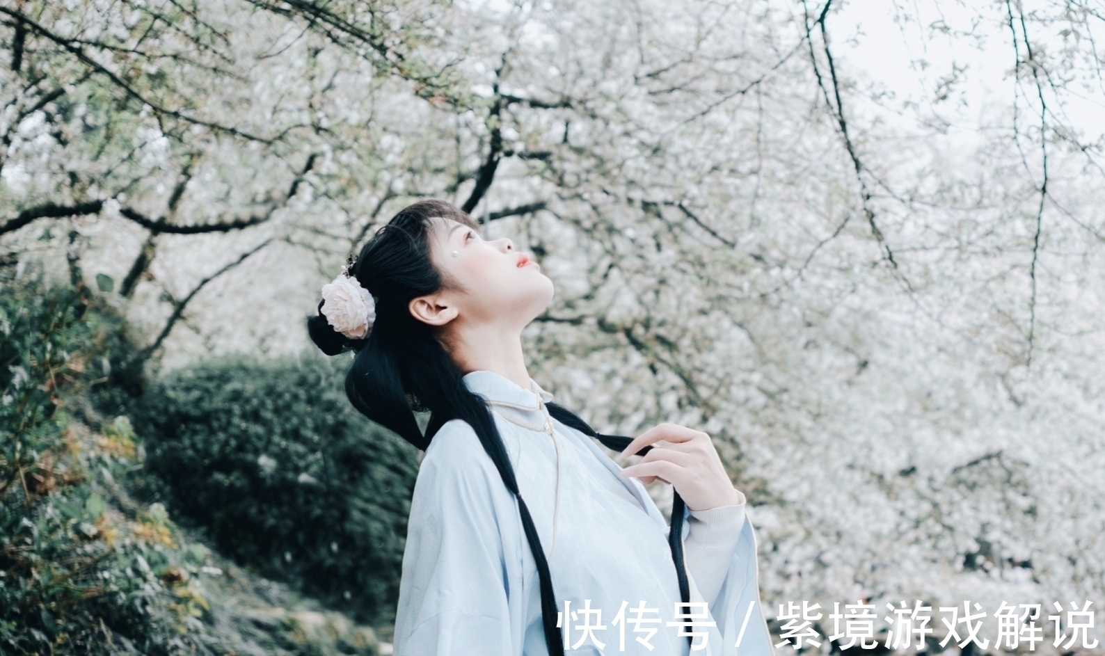 峰岚@同韵七言绝句(十首):今夜举杯空对月,不知何日共云岚