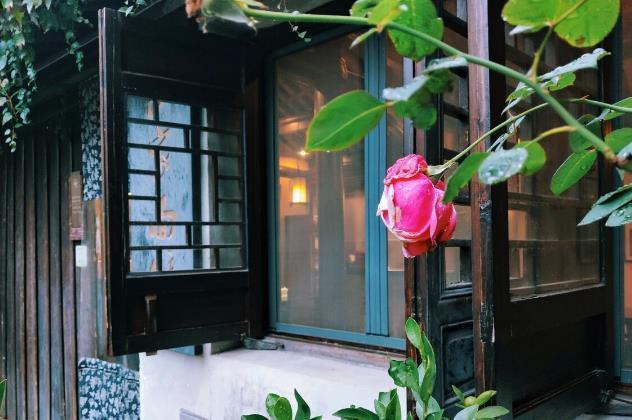 小花园|为了养花种菜,奶奶花160万买了郊区的别墅,3年之后,后悔了