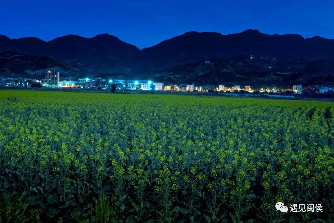 金色花海！福州油菜花开了！【区县头条】