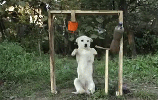 |搞笑段子王:小姐姐,你是有什么高兴事吗?,这样走路小心挨打哦