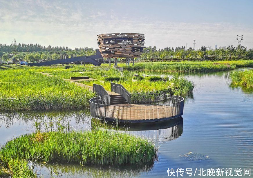 温榆河公园|端午三天北京公园纳客312万人次，人气王是它
