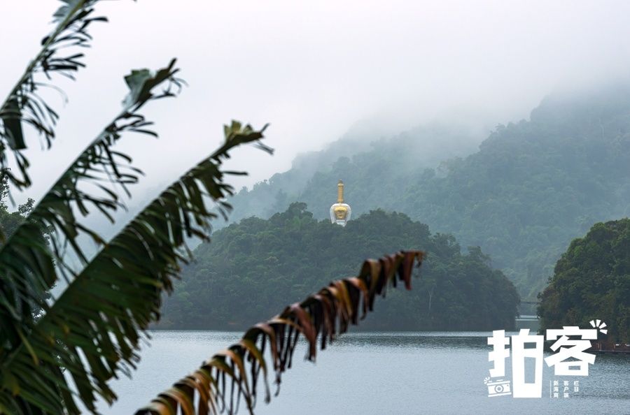 保亭|拍客丨游人走进海南五指山区热带雨林，享受节日的欢乐