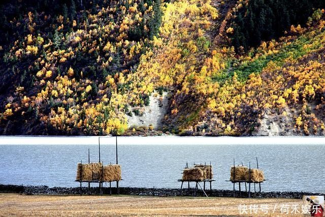 波密桃花开当桃花与雪山相遇，便成为云上仙境